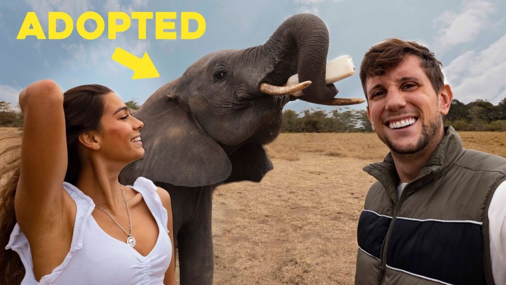 WE ADOPTED THIS ELEPHANT (Kenya Africa)